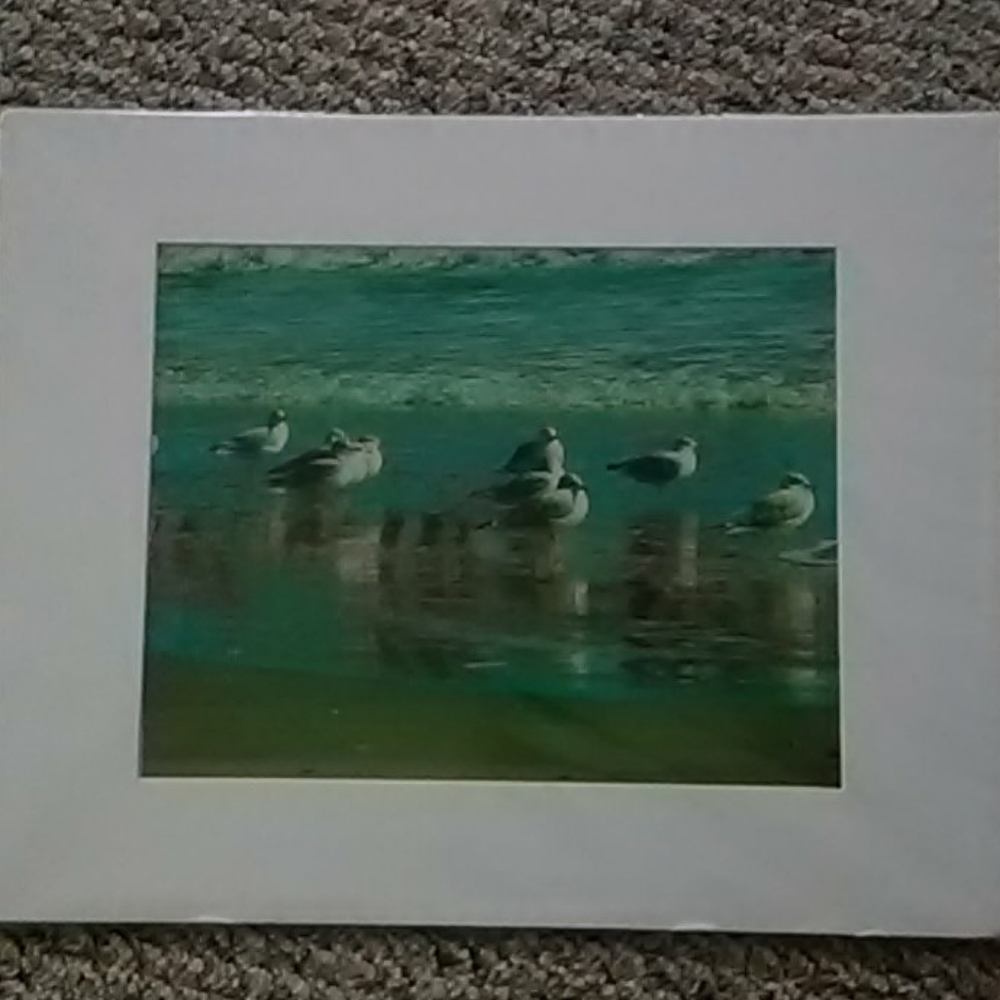 Original Photograph